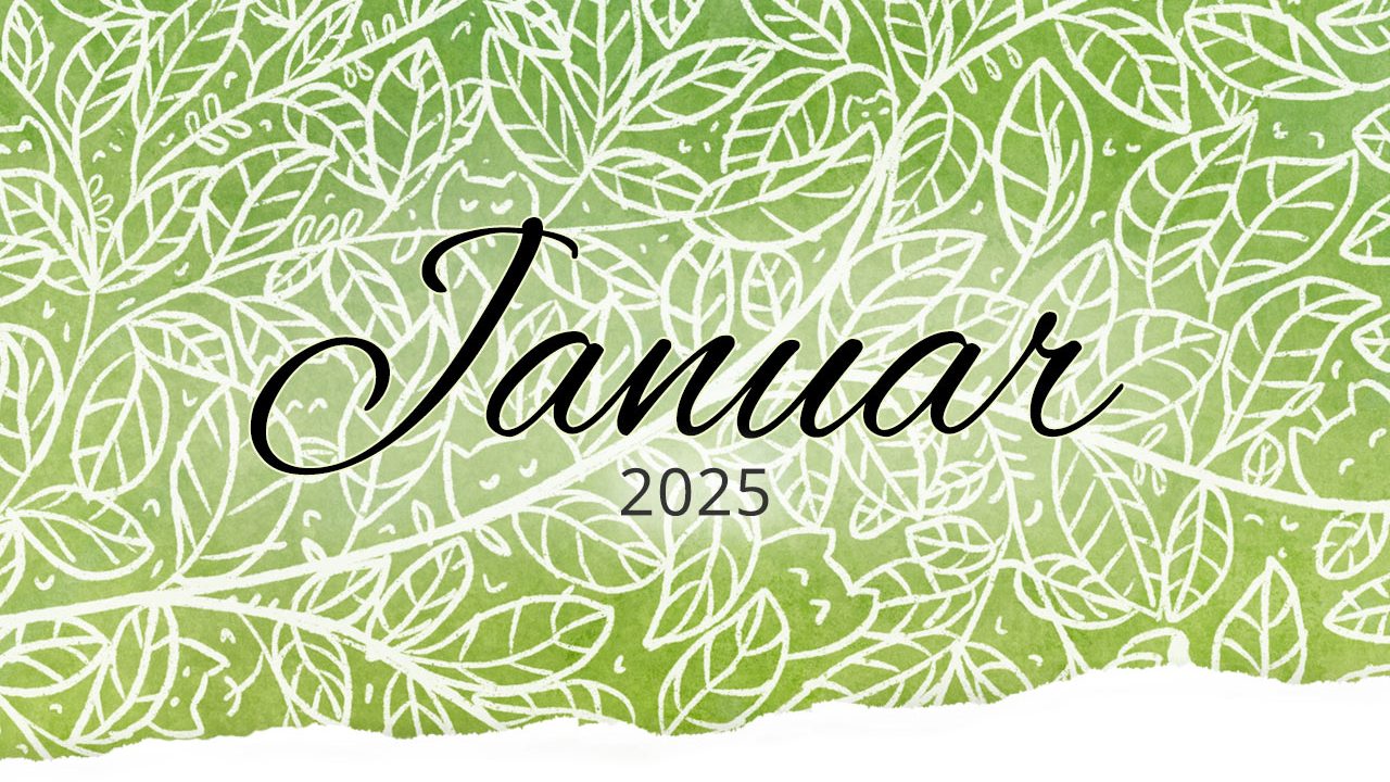 Rückblick: Januar 2025