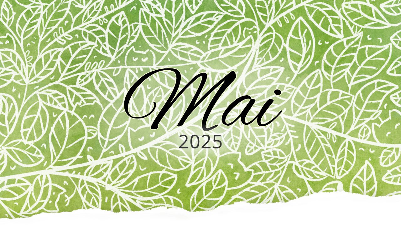 Rückblick: Mai 2025