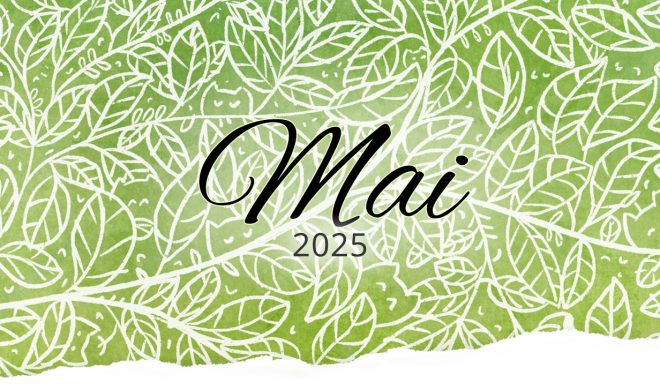 Rückblick: Mai 2025