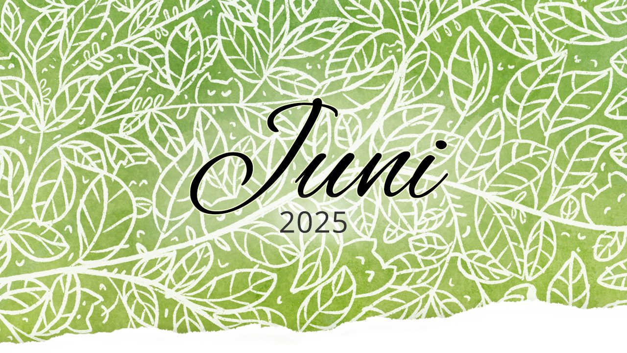 Rückblick: Juni 2025