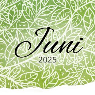 Rückblick: Juni 2025