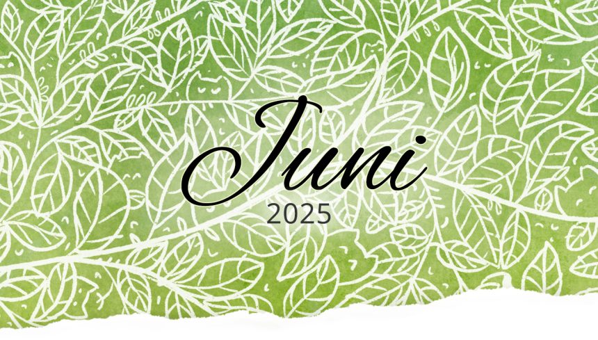 Rückblick: Juni 2025