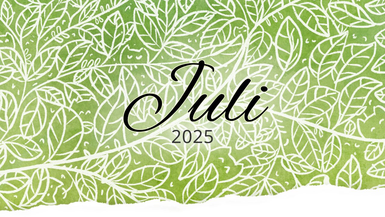 Rückblick: Juli 2025