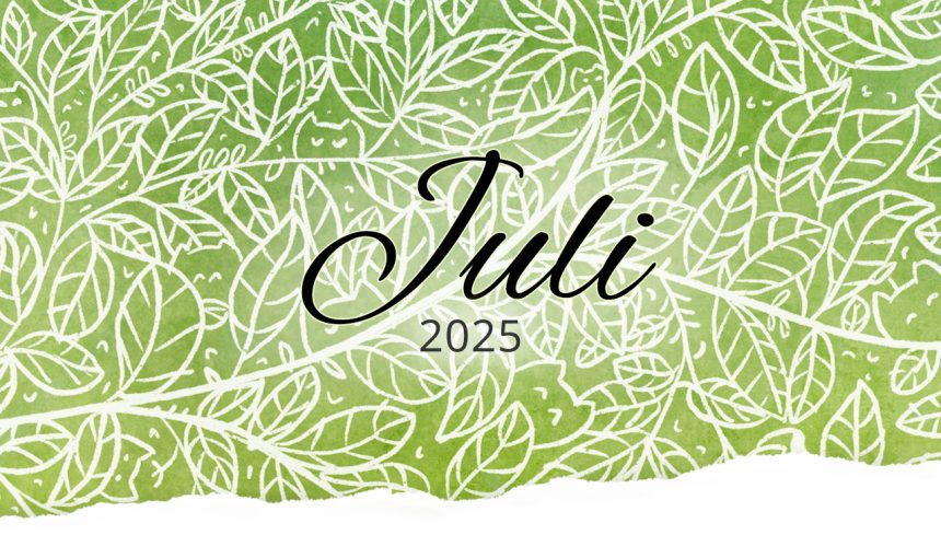Rückblick: Juli 2025