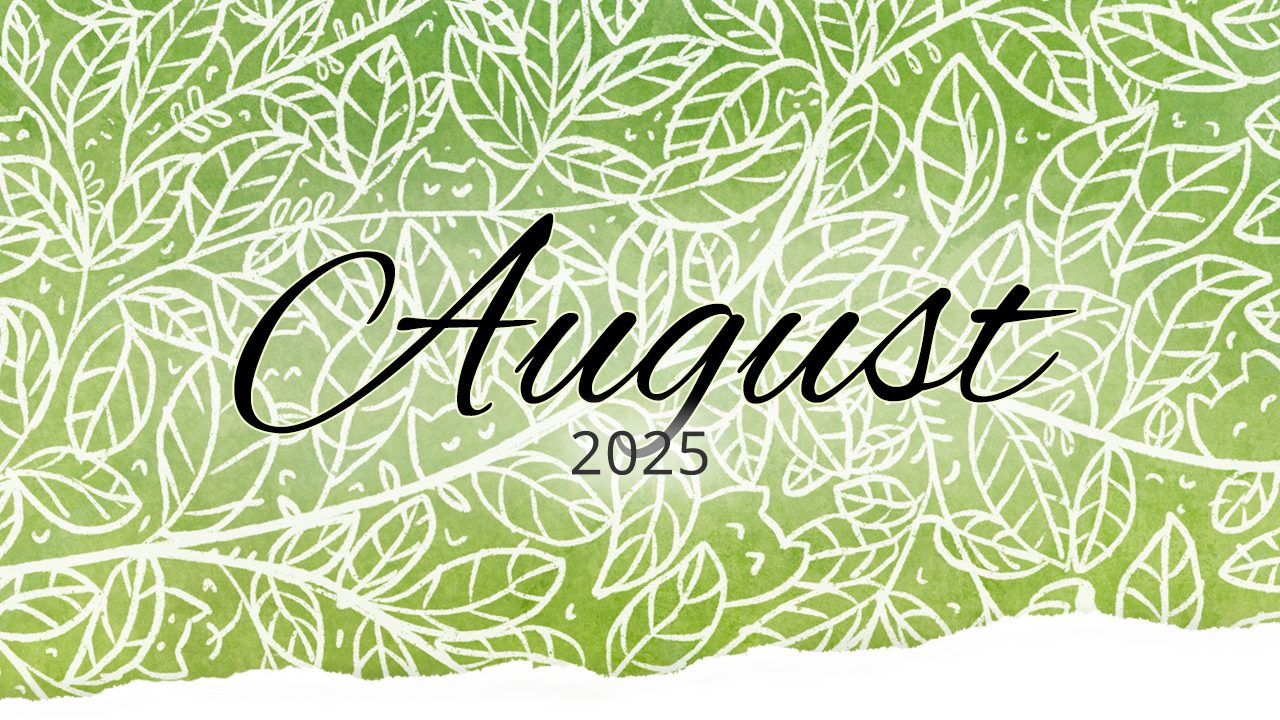 Rückblick: August 2025