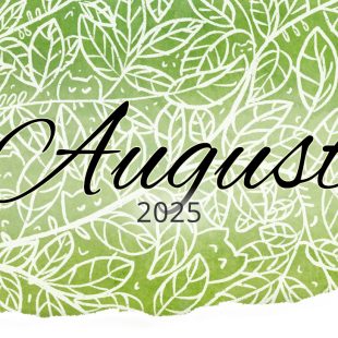 Rückblick: August 2025
