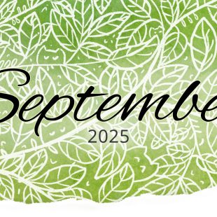 Rückblick: September 2025