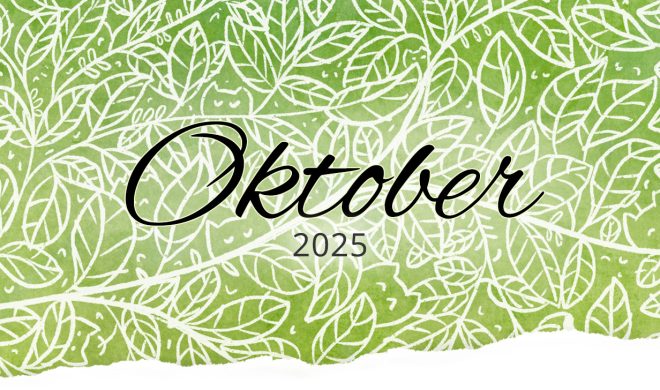 Monatsrückblick im Oktober 2025