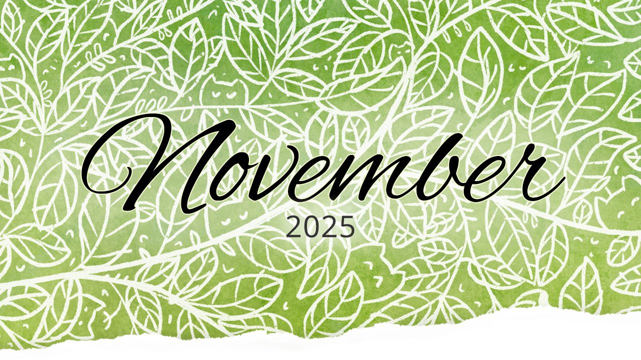 Monatsrückblick im November 2025 Monatsrückblick im November 2025