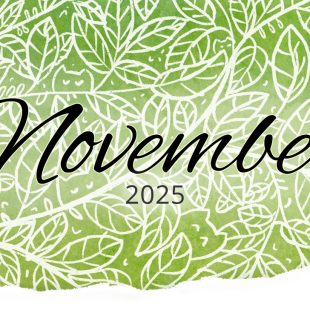 Monatsrückblick im November 2025 Monatsrückblick im November 2025