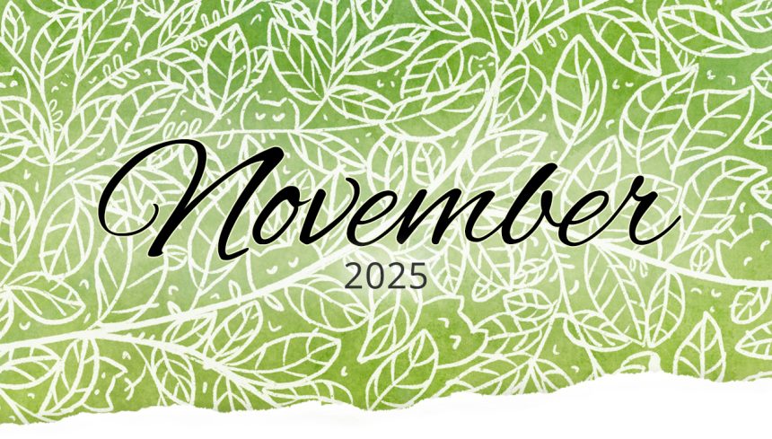 Monatsrückblick im November 2025 Monatsrückblick im November 2025