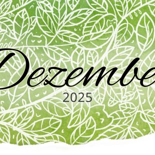 Monatsrückblick im Dezember 2025