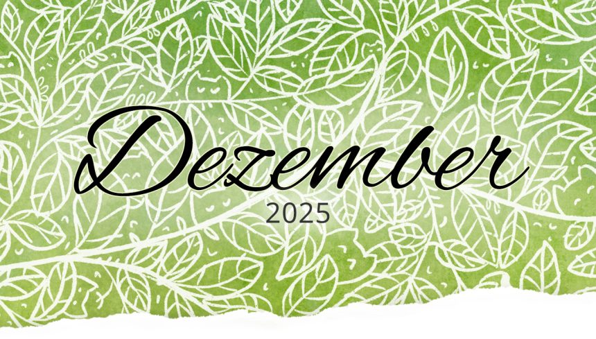 Monatsrückblick im Dezember 2025